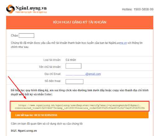 V&iacute; điện tử ng&acirc;n lượng