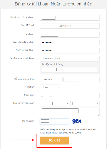 V&iacute; điện tử ng&acirc;n lượng