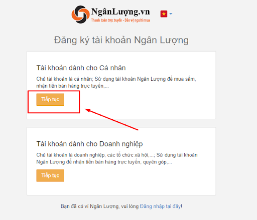 V&iacute; điện tử ng&acirc;n lượng