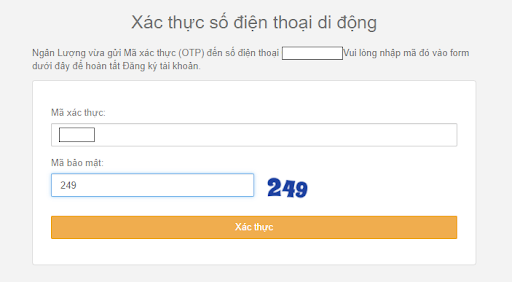 v&iacute; điện tử ng&acirc;n lượng